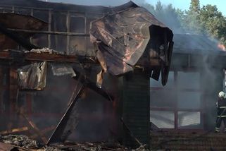 Kriminalisté obvinili muže, který likvidoval sršní hnízdo a podpálil českokrumlovský bazén - Novinky