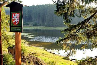 Přírodní památka Na Vážkách: Objevte tančící vážky nad vodou