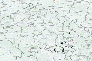 Smrtelně nebezpečná nemoc zajíců a králíků se šíří východem Česka, přešla už i na Slovensko - Novinky