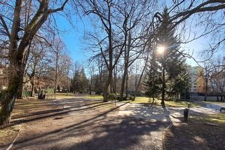 Matka v Jablonci si šla za svými zájmy. Dítě dala hlídat bezdomovcům v parku - Novinky