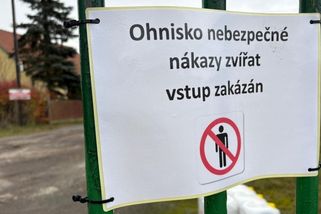 Šéf veterinářů k ptačí chřipce: Chovatel dovezl na jatka méně drůbeže, než měl, úhyn asi nenahlásil