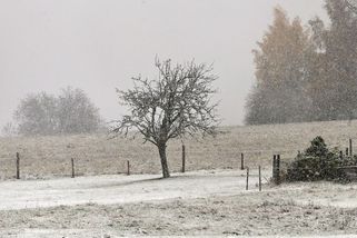 Zima se hlásí o slovo. Bude sněžit i v nížinách - Novinky