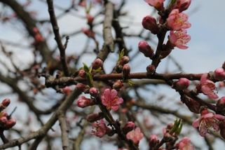 Výhled počasí až do dubna. Meteorologové řekli, jak to bude s výkyvy