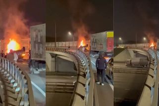 Tragická smrt kryptomagnáta: Jeho Lamborghini shořelo po nárazu do zdi, vedle mrtvoly ležely štosy bankovek