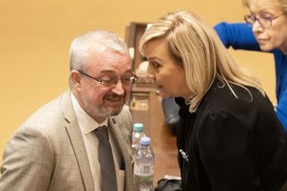 Chamtiví poslanci? Výpočet ukazuje, že je to jinak - Seznam Zprávy