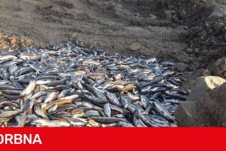 Jediní odsouzení za otravu Bečvy. Soud potrestal hasiče a úřednici z životního prostředí