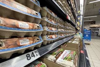 Zlato v kurníku. Vejce skokově zdražila, ptačí chřipka není jediný důvod - Seznam Zprávy