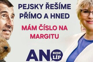 Vláda v lágru nebo vrazi psů z opozice. Některé karikatury jsou na hraně - Novinky