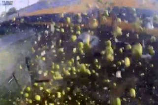 Vlak v Nizozemsku rozstřelil na přejezdu kamion plný hrušek - Novinky