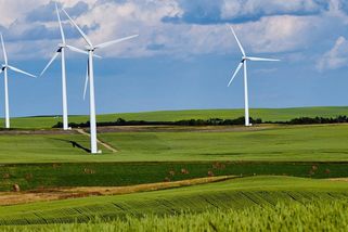 Vítr je levnější než jádro. Za vzor si můžeme vzít Polsko