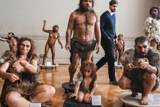 OBRAZEM: Fosilie 3,2 milionu let starých předků člověka Lucy a Selam jsou poprvé v Praze - Echo24.cz