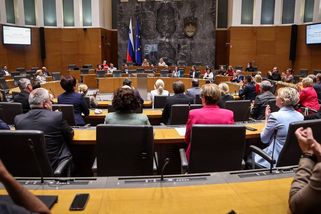 Slovinci nakonec nebudou v referendu hlasovat o členství v NATO, ani o zbrojních výdajích - Novinky