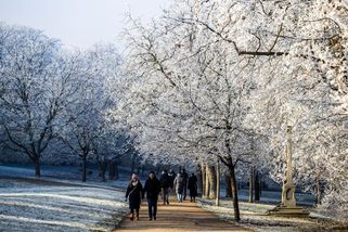 Čeká nás mrazivý týden, k ránu bude až -7 °C - Novinky