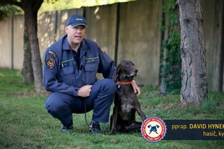 Sedm let vyhledával lidi z trosek a zachraňoval je. Nyní ohař Darren odchází do důchodu - Novinky