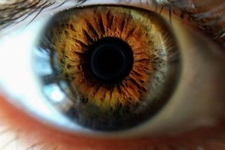 Instantní káva souvisí se 7krát vyšším rizikem jedné oční vady, ukázala studie - Médium.cz