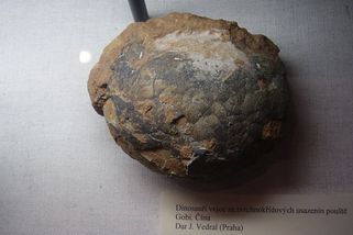 Proč nebudeme nikdy schopni vytvořit skutečný Jurský park - kde vzít vejce - Médium.cz