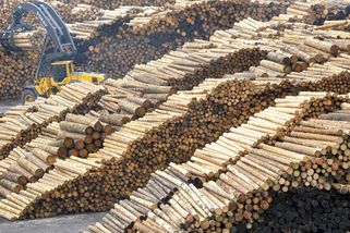 Dřevařská skupina Stora Enso zvažuje prodej svých pil ve Ždírci a Plané - Seznam Zprávy