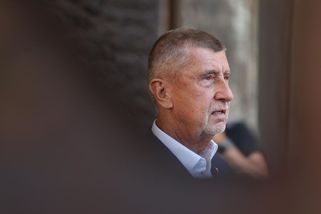 Celostátní referendum? Třeba o eutanázii, zmínil šéf ANO - Novinky