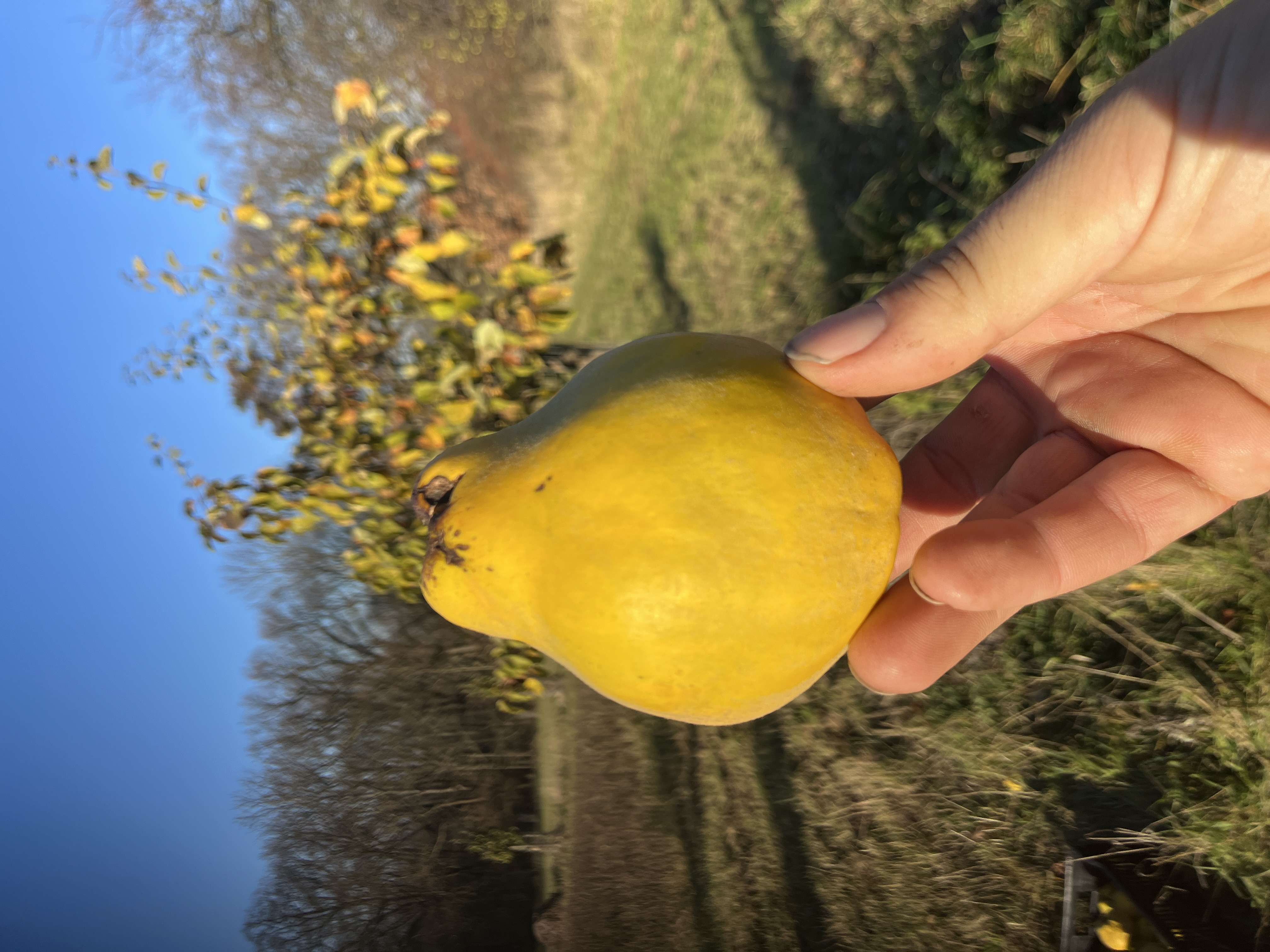 Obrázek u příspěvku