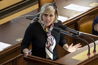 Senátorka Mračková Vildumetzová do Vietnamu prostě musela