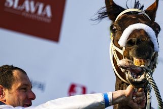 Šampion, skokan a nervák, co bude Velké pardubické zase chybět. Kopnul se - Seznam Zprávy