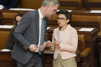 Piráti totálně bez funkcí. Nedostali se do vedení Sněmovny ani výborů - Novinky