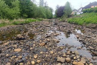 Řeka Svatava zcela bez vody: kam se poděla?