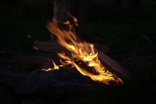 Už týden platí zákaz pálení biomasy, jak je to se špekáčky a grilováním? - PŘÍRODA.cz