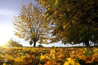 Přijde obrat. V listopadu budou nadprůměrné teploty - Novinky
