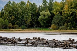 Paradoxní situace. Půda je nasycená, ale přehrady mají málo vody - Novinky