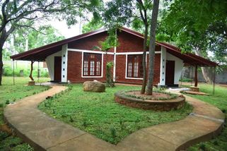 Tohle jsem pořídila na zahradu místo trávníku. Teď mi sousedi z celé ulice závidí - SportDeník