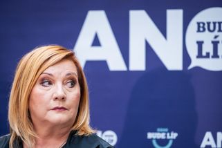 Rozpočtový výbor přerušil jednání do pondělí. Podle Schillerové chybí v Stanjurově návrhu 95,9 miliardy