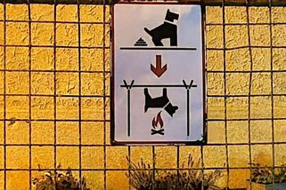 Městys na Prachaticku pobouřila svérázná cedule pro pejskaře - Novinky