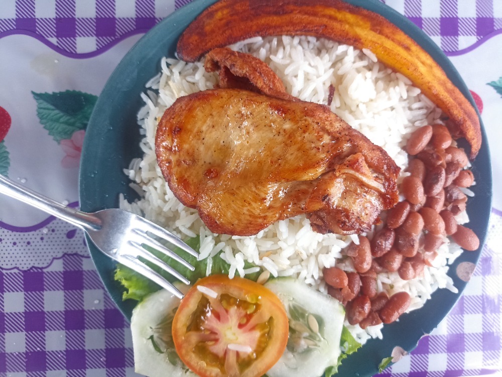 Obrázek u příspěvku