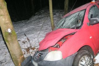 Řidič na Šumpersku usnul za volantem a narazil do stromu. Nehodu nenahlásil - Novinky