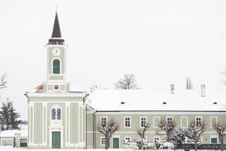 Mladá žena se sedm let soudí s hřebčínem kvůli smrti své matky. Rozsudek padne příští týden - Novinky