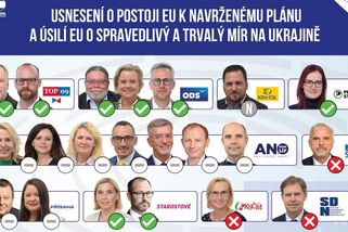 Nikdo z europoslanců hnutí ANO nehlasoval pro trvalý a spravedlivý mír na Ukrajině - Novinky