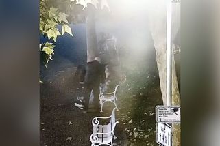 Soud potrestal šéfa strážníků ve Stříbře. Cizince bezdůvodně praštil do hlavy a hrozil mu obuškem - Novinky