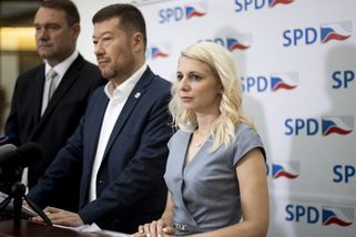 Komentář: Strašení sudetskými Němci už vzrušuje jenom Okamuru. Hurá! - Seznam Zprávy