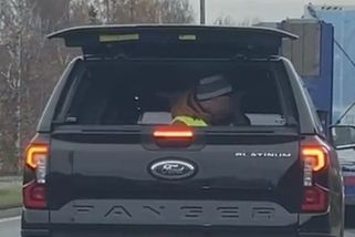 Fotograf na Plzeňsku lovil snímky z otevřeného kufru jedoucího auta - Novinky