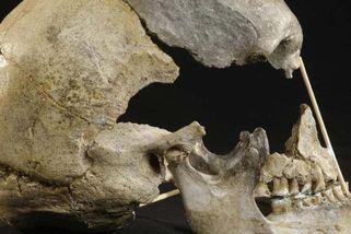 Vědci zrekonstruovali tvář ženy z Koněpruských jeskyň. Má tajemný pohled a šibalský výraz - Médium.cz