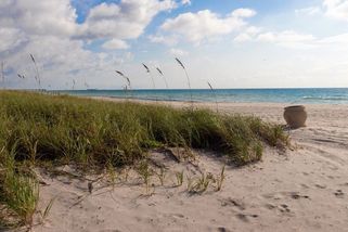 Policie na Floridě zatkla na pláži šest nudistů kvůli koupání bez plavek. Většinou šlo o seniory - Novinky