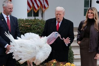 Jsme blízko k dohodě, je přesvědčen Trump. Zelenskyj je připraven jednat o citlivých bodech - Novinky