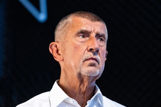 Soudce poslal sněmovně spis k vydání Babiše za Čapí hnízdo - Seznam Zprávy