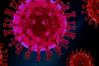 Jakou barvu mají viry? - VĚDÁTOR