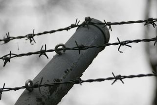 Železná opona jako továrna na smrt: stát střílel i na vlastní budoucnost - Médium.cz