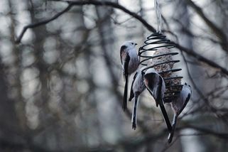 Zima se odkládá. Dorazí neobvykle teplé počasí - Novinky