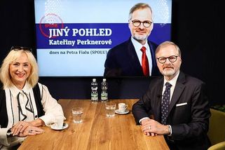 Nejvíc mě baví sekat trávu, protože hned vidím výsledek, říká Petr Fiala