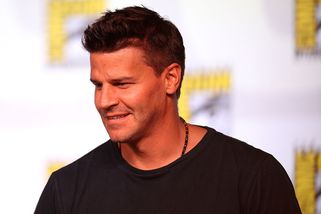 David Boreanaz se konečně podělil na sociálních sítích o novinky ze svého života! Těší se z role seriálu Seal Team - ČasProŽeny.cz
