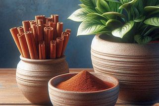 Jak udržet pokojovky krásné a zdravé? Stačí obyčejná skořice